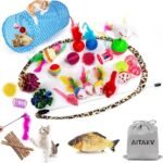 AILUKI 31 PCS Colorful Cat Toy Set for Fun & Play!