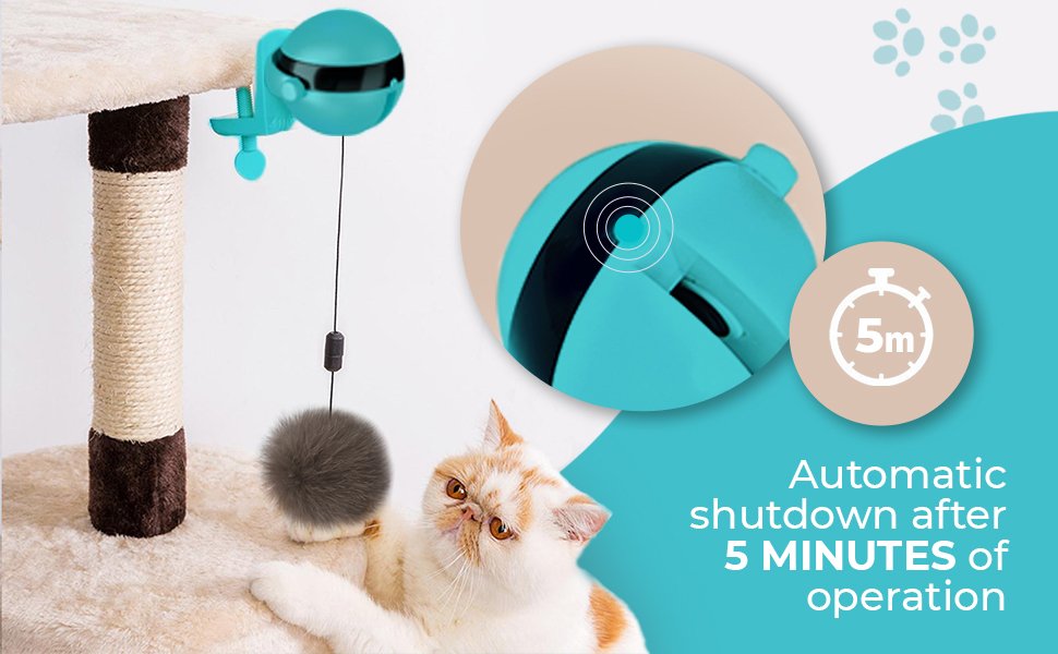 Purr-fectly Entertained: Top 10 Interactive Cat Toys for Endless Fun - Introduction