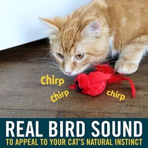 Interactive Cat Toy: Real Birds with Catnip & Sound