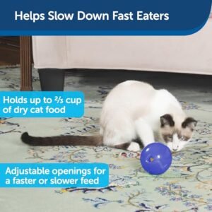 PetSafe SlimCat Feeder Ball - Fun & Healthy Playtime!