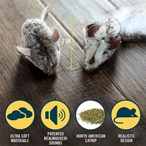 Play-N-Squeak Twice the Mice: Interactive Catnip Fun!