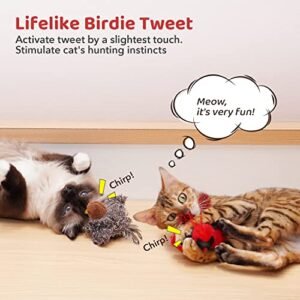 Potaroma Chirping Bird Cat Toys with Catnip - 2 Pack