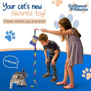 Rainbow Cat Charmer: Engage & Energize Your Feline Friend!